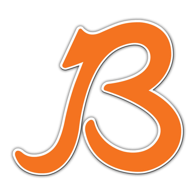 Chicago Bears Magnet Car Style 12" B Design CO