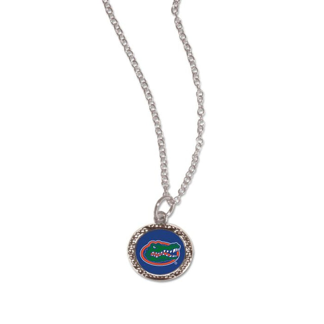 Pulsera de los Florida Gators con dijes en caja de joyería