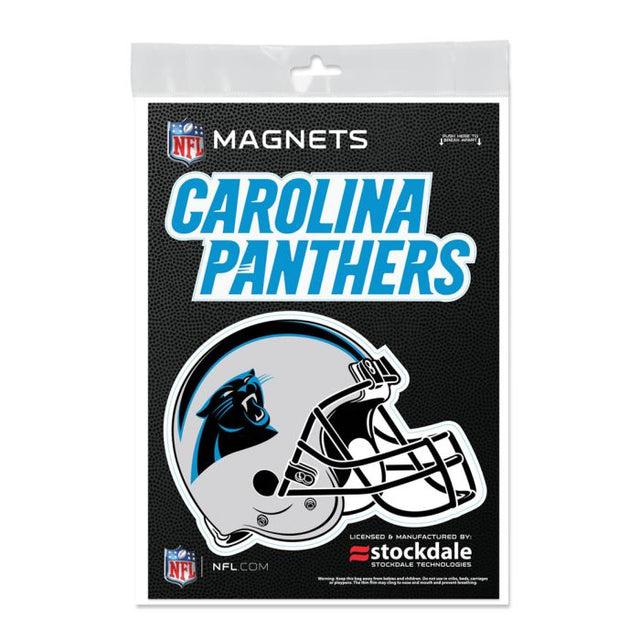 Carolina Panthers Outdoor Magnets 5" x 7"