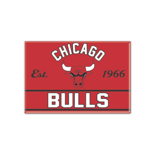 Imán de metal de los Chicago Bulls de 2,5" x 3,5"