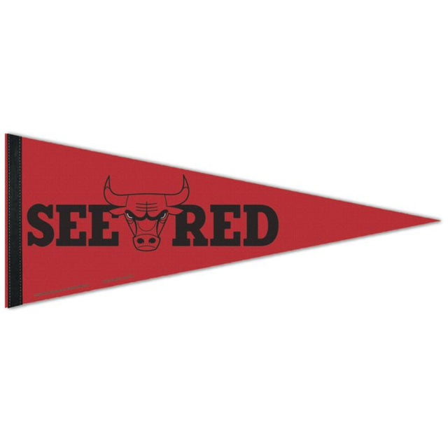 Banderín premium de los Chicago Bulls de 12" x 30"