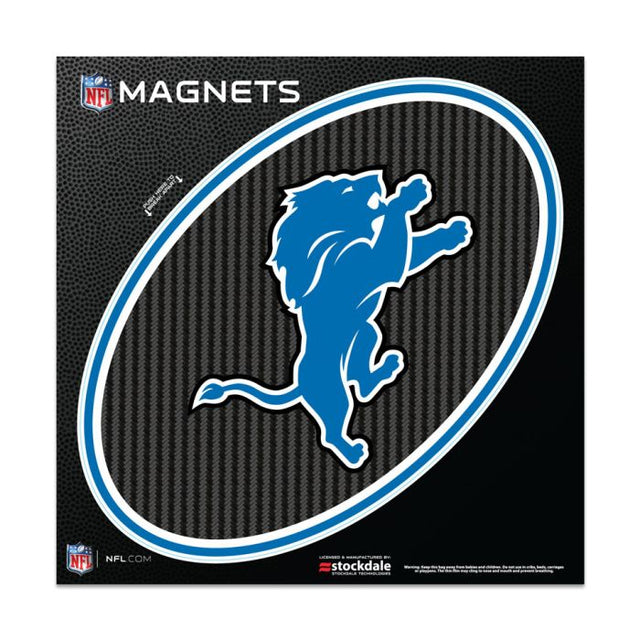 Imanes para exteriores de carbono de los Detroit Lions de 6" x 6"