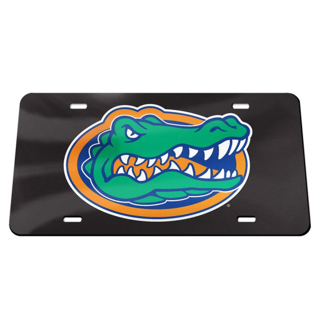 Matrícula acrílica especial de los Florida Gators