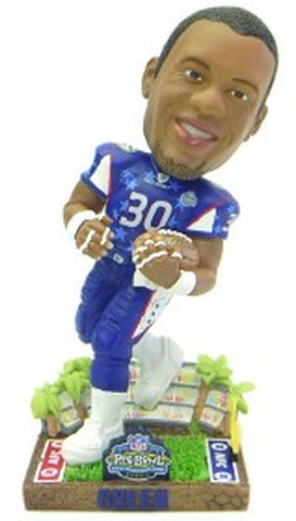 Green Bay Packers Ahman Green 2003 Pro Bowl Forever Collectibles Bobblehead CO