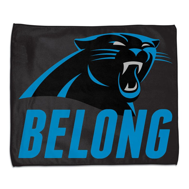 NFL: Carolina Panthers