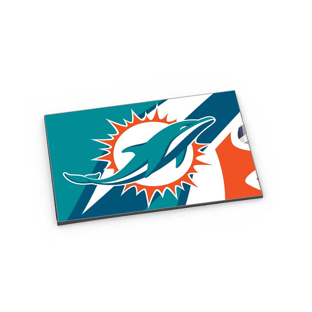 Imán dinámico de los Miami Dolphins -MG-925-09