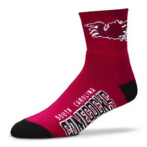 South Carolina Gamecocks - Team Color LARGE