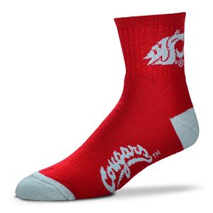 Washington State Cougars - Team Color LARGE