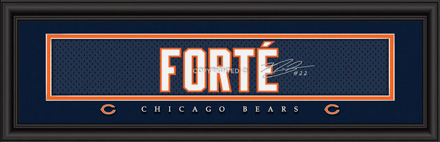 芝加哥熊队印刷品 8x24 签名款 Matt Forte