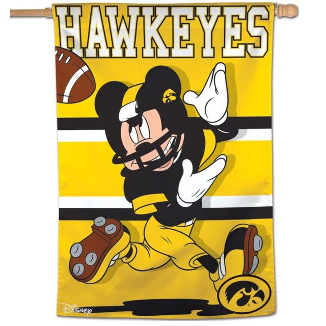 Bandera vertical de Iowa Hawkeyes/Disney de 28" x 40"