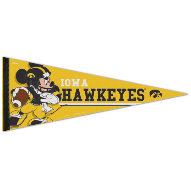 Banderín premium de Iowa Hawkeyes / Disney de 12" x 30"