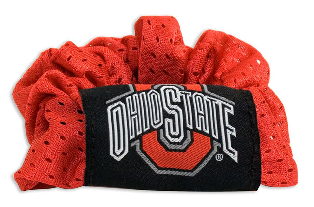 Ohio State Buckeyes Hair Twist Ponytail Holder CO