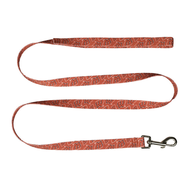 Wisconsin Badgers Pet Leash 1x60