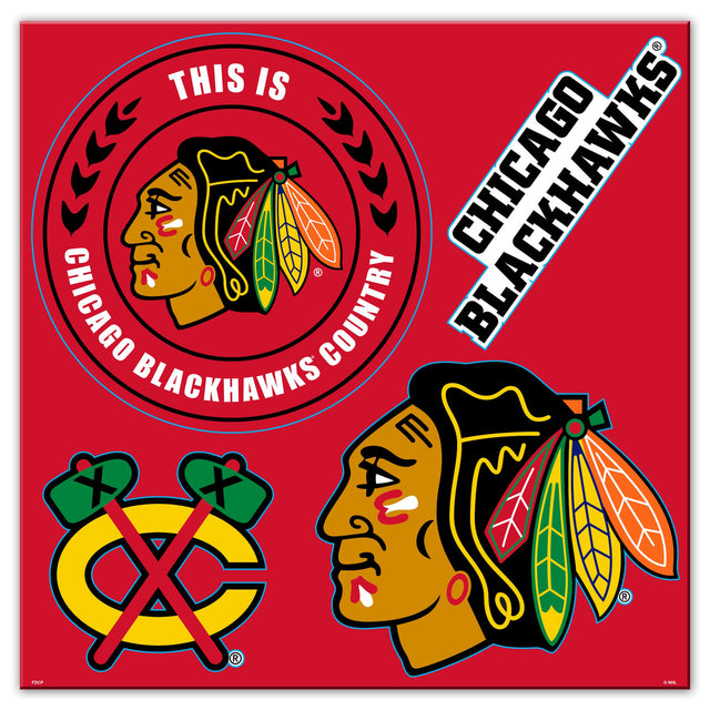 Chicago Blackhawks Magnet Kit 4 Piece CO