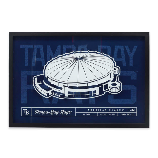 Tampa Bay Rays Stadium Glass Framed Wall Decor