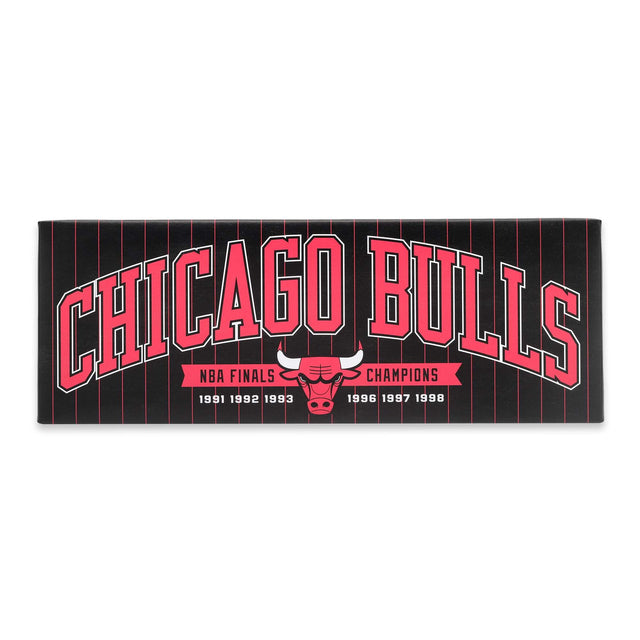 Chicago Bulls Tradition Canvas Wall Decor