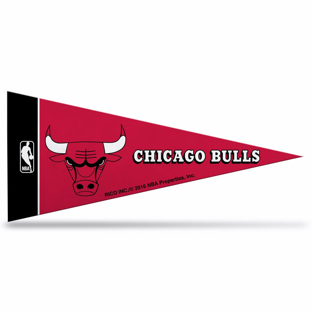 Mini banderín de los Chicago Bulls