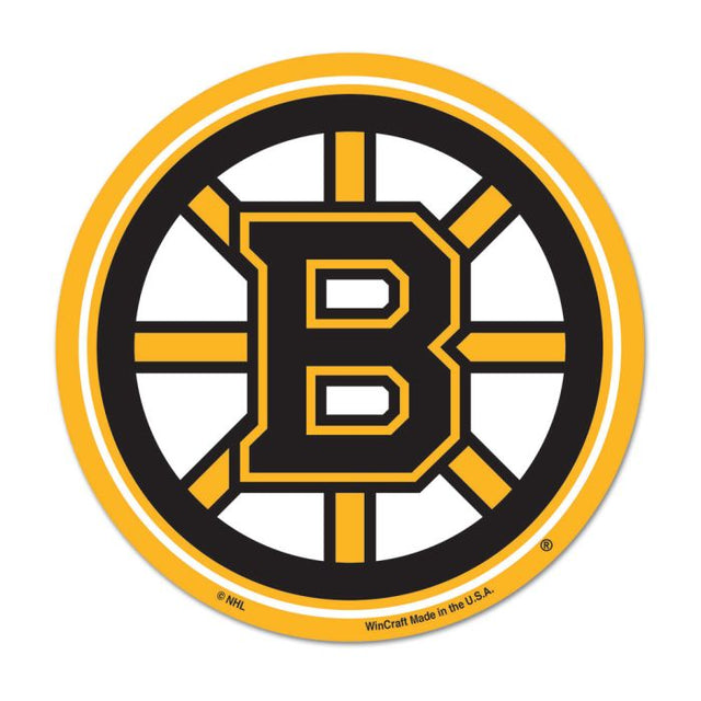 Boston Bruins Logo on the GoGo