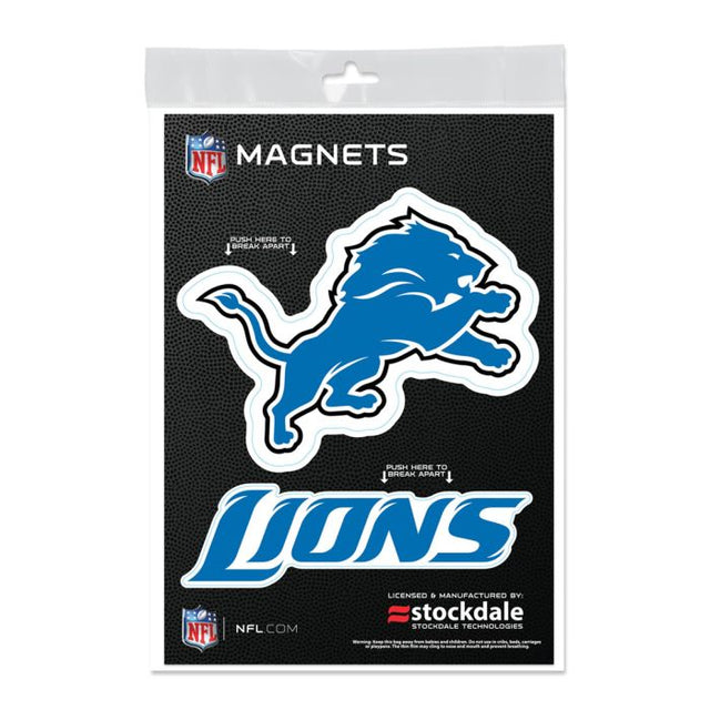 Imanes para exteriores de los Detroit Lions de 5" x 7"