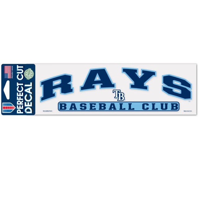 Tampa Bay Rays Arched Perfect Cut Decals 3" x 10"