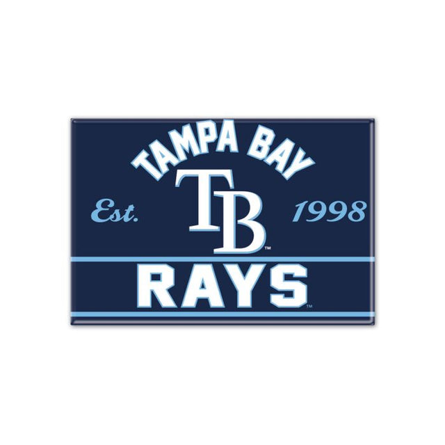 Tampa Bay Rays Metal Magnet 2.5" x 3.5"