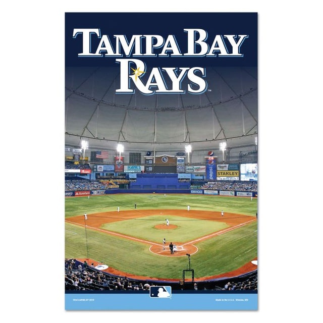 Tampa Bay Rays Wood Sign 3/8" thick 11" x 17"