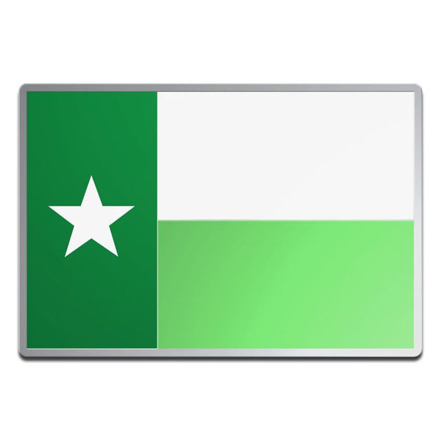 North Texas Mean Green Acrylic Auto Emblem