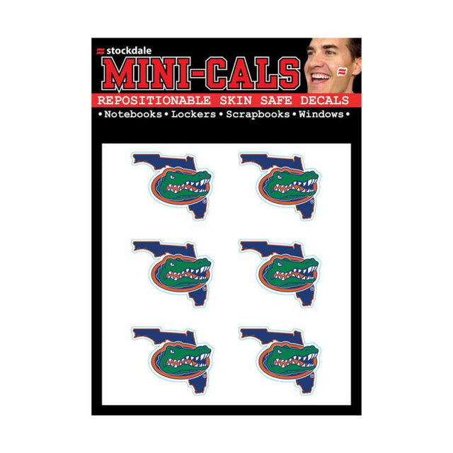 Florida Gators Face Cals