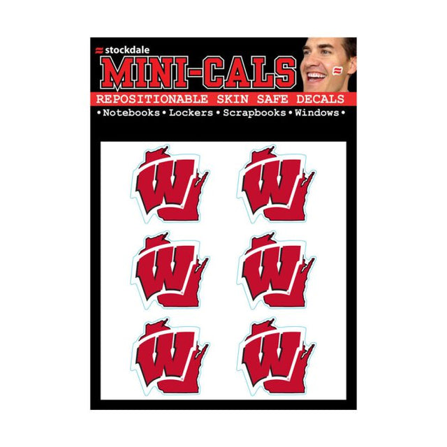 Wisconsin Badgers Face Cals