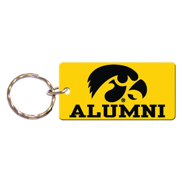 Llavero rectangular de Iowa Hawkeyes