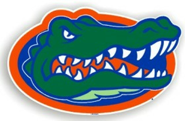 Imán para automóvil de 12" de los Florida Gators