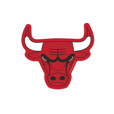 ~Chicago Bulls Logo on the GoGo~ backorder