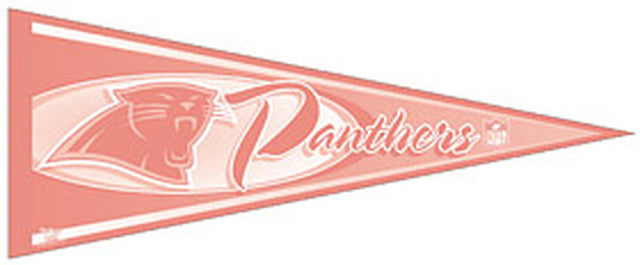 Banderín de los Carolina Panthers, 12 x 30, color rosa