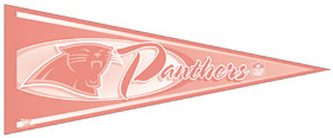Carolina Panthers Pennant 12x30 Pink CO