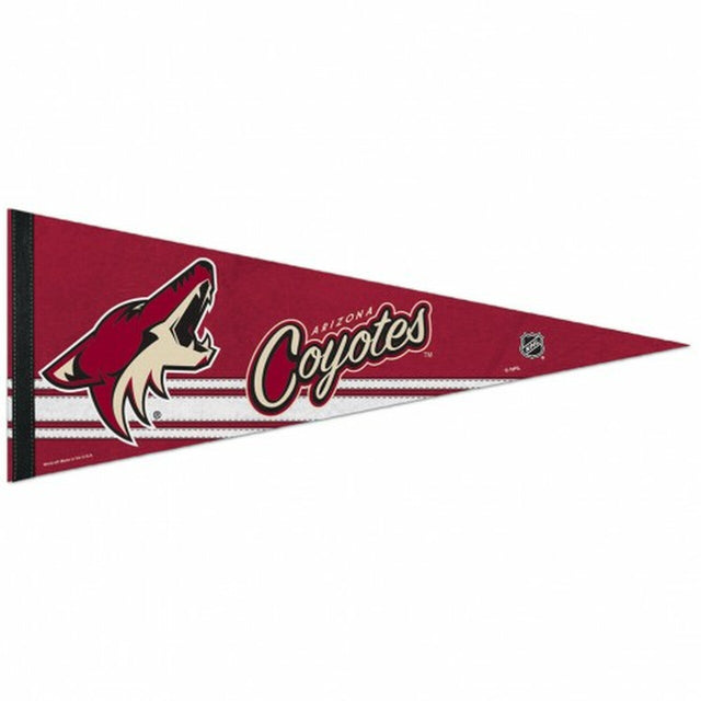 Banderín de los Arizona Coyotes de 12 x 30, estilo premium