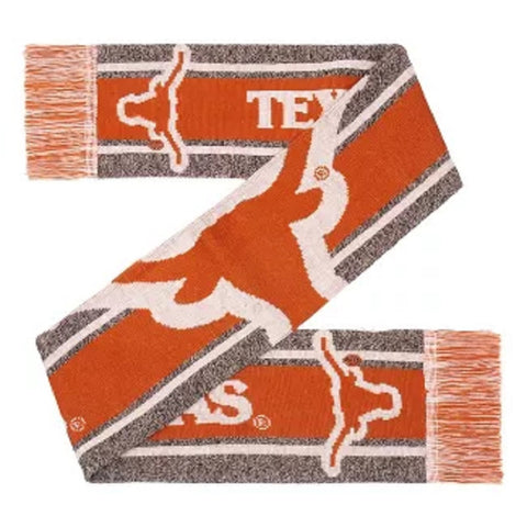 Texas Longhorns Scarf Big Logo Wordmark Gray
