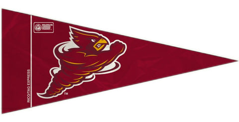 ~Iowa State Cyclones Pennant Set Mini 8 Piece - Special Order~ backorder